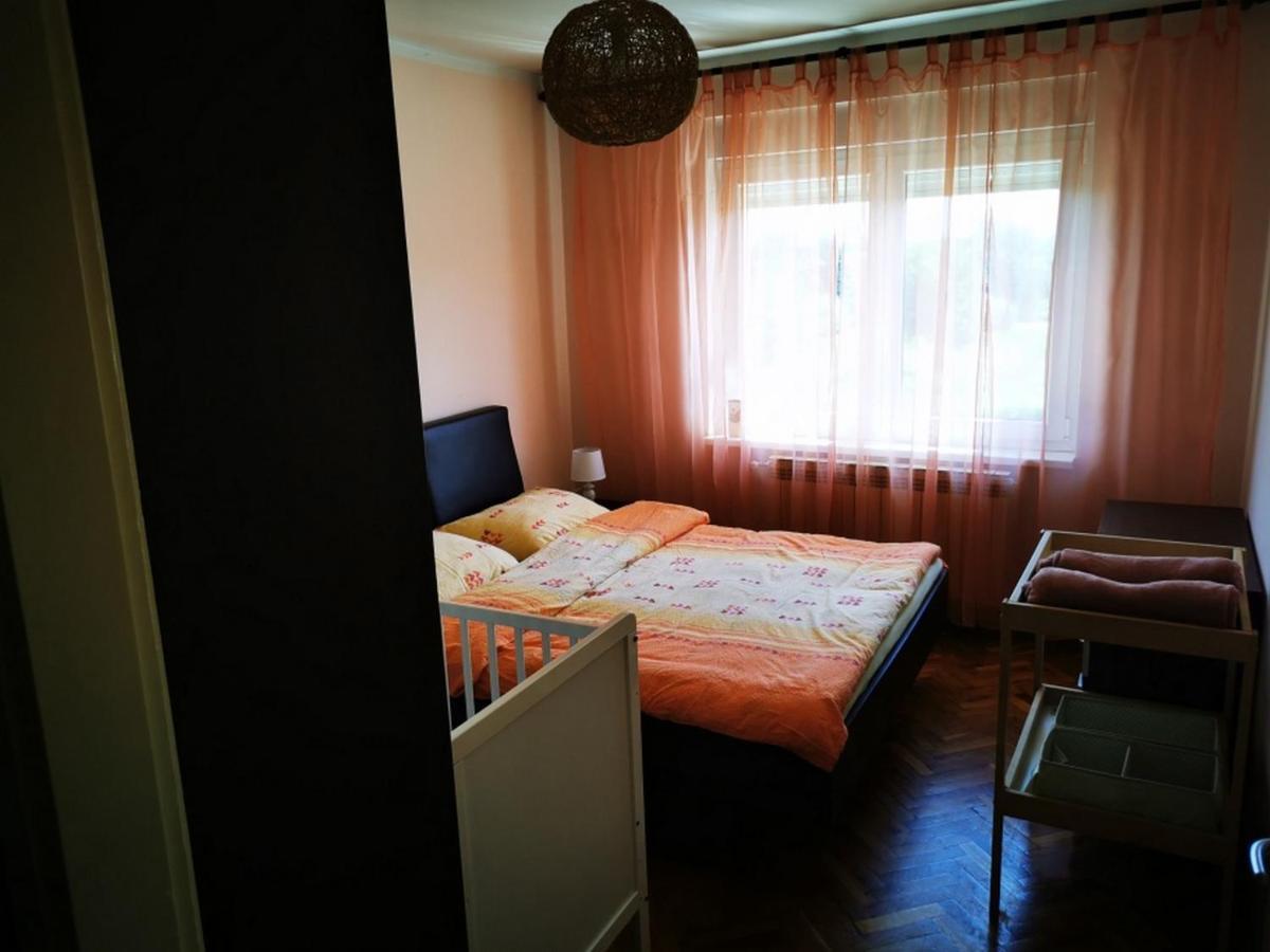 Apartmant Sandra - Big Terace And Free Parking Apartment Karlovac Bagian luar foto